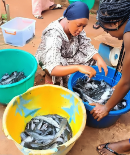 Fish farm infrastructure and tanks